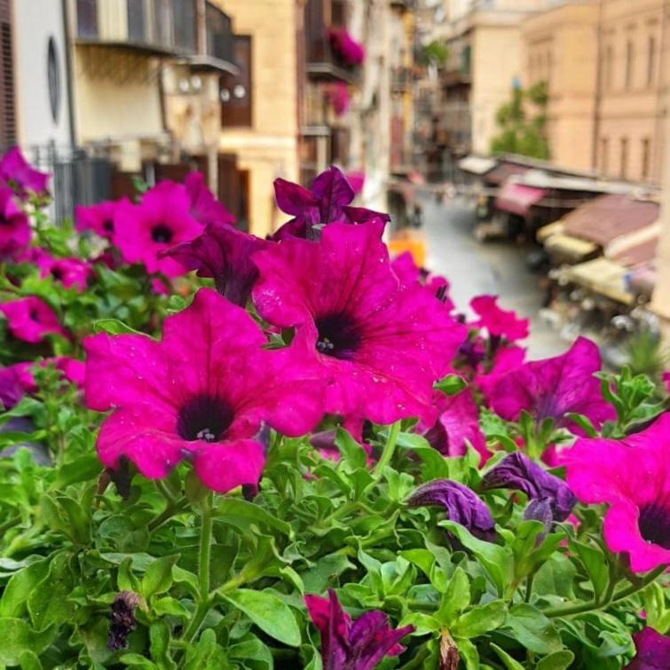 Il Rosone Luxury B&B Palermo Eksteriør bilde